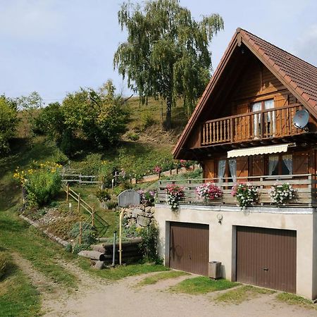 Sainte-Croix-aux-Mines Chalet-Gite Berbuche מראה חיצוני תמונה