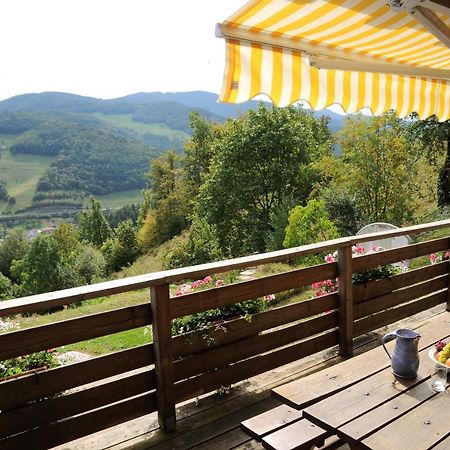 Sainte-Croix-aux-Mines Chalet-Gite Berbuche מראה חיצוני תמונה