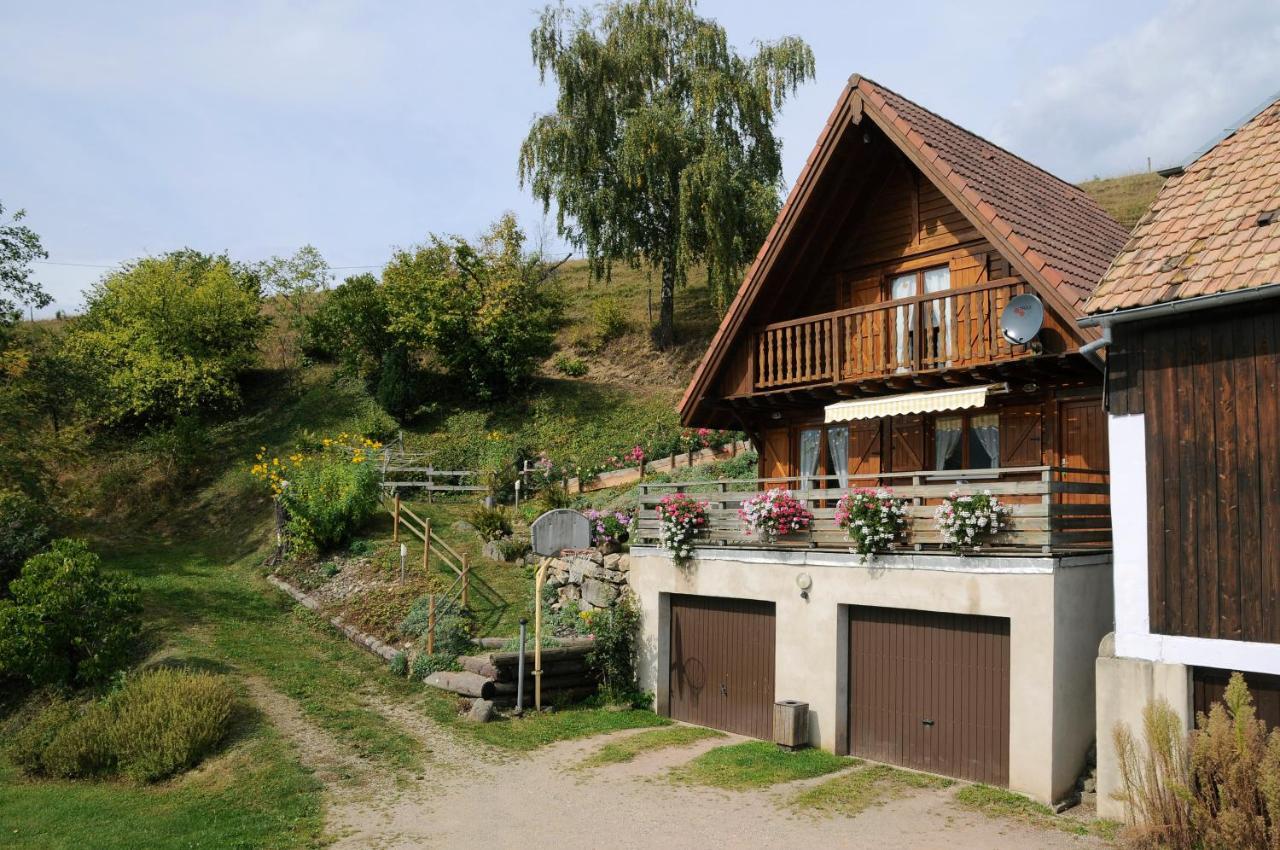 Sainte-Croix-aux-Mines Chalet-Gite Berbuche מראה חיצוני תמונה