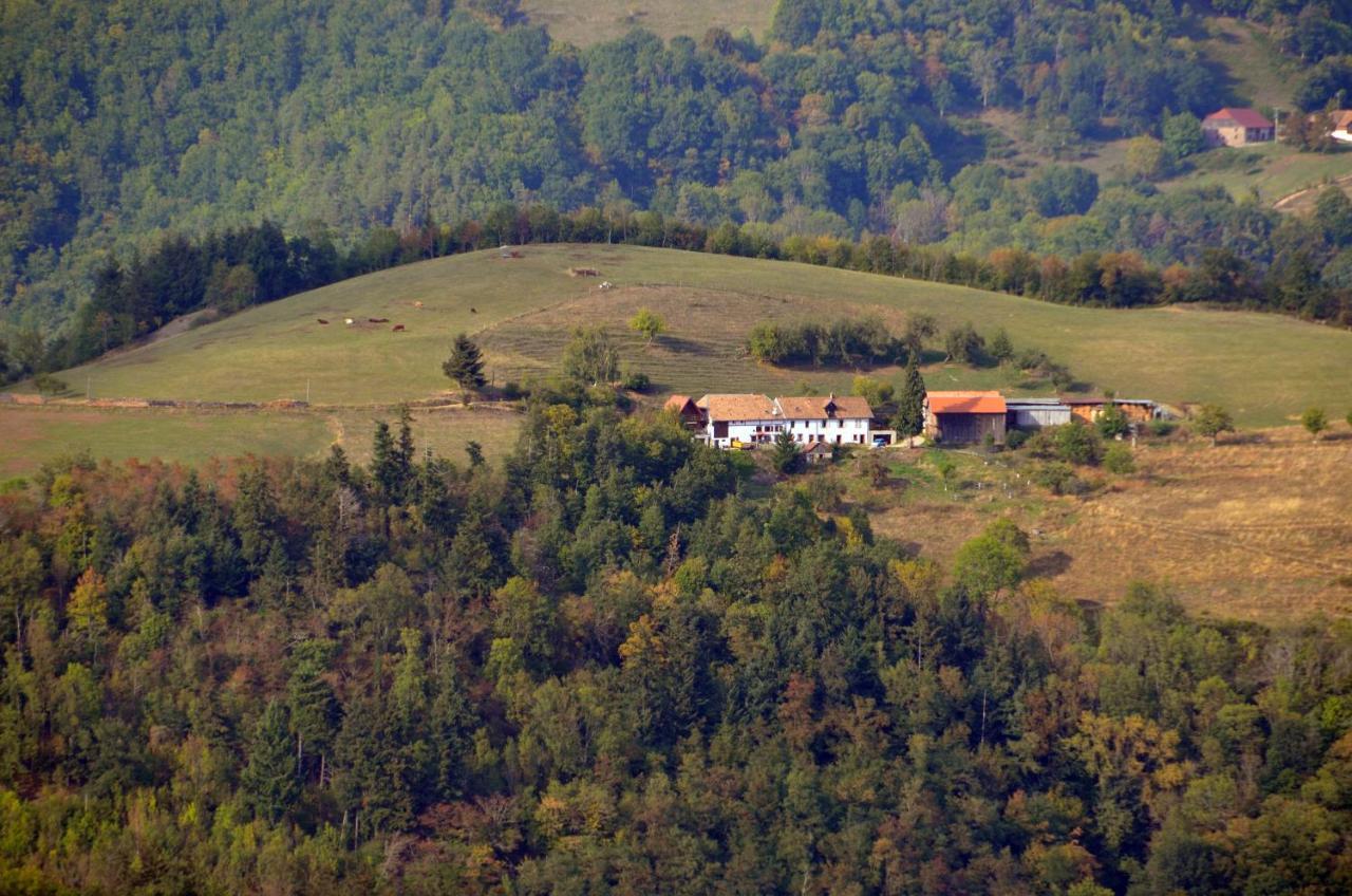 Sainte-Croix-aux-Mines Chalet-Gite Berbuche מראה חיצוני תמונה